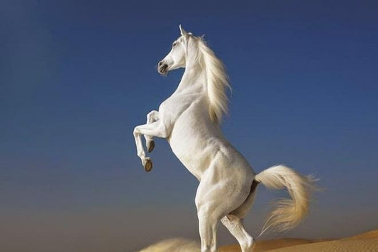 3 con giáp gặp may mắn, phất lên bất ngờ trong tháng 10 dương lịch