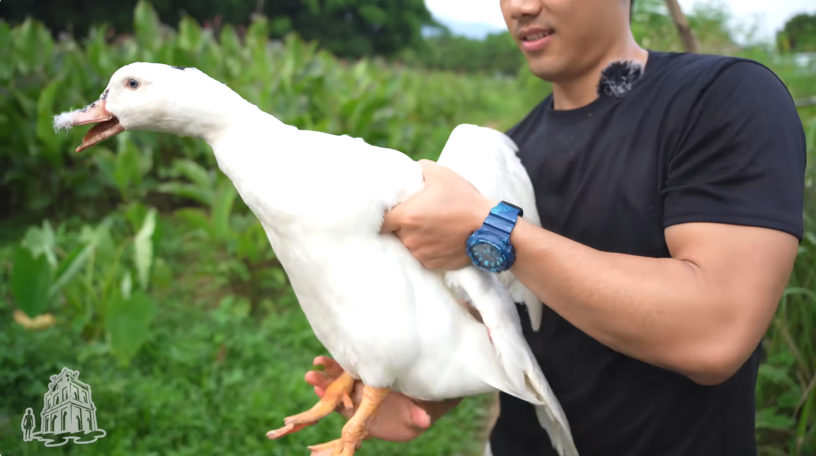 cà sáy tiên yên 0 hãy thách thức tôi 0.png