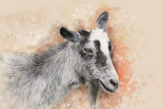 Sau hôm nay, thứ Hai 6/10/2025, Thần Tài trao 'chìa khóa vàng', 3 con giáp vượng đường thăng tiến, tiền bạc rủng rỉnh