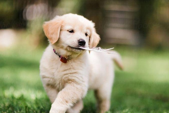 Sau hôm nay, thứ Ba 7/10/2025, 3 con giáp rũ sạch vận xui, vận đỏ như son, tiền đổ ào ào về túi đếm không xuể