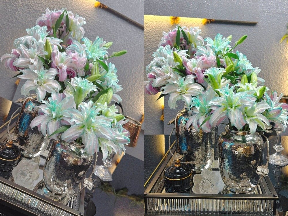 Choáng cơ ngơi bề thế trị giá triệu đô của Shark Bình và Phương Oanh