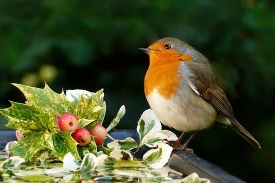 Tháng sinh Âm lịch của người kín đáo, chỉ bùng nổ khi thời cơ đến