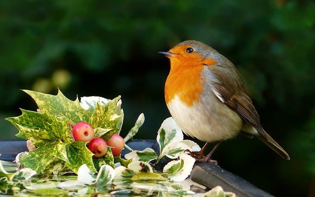 Tháng sinh Âm lịch của người kín đáo, chỉ bùng nổ khi thời cơ đến - Ảnh 2.