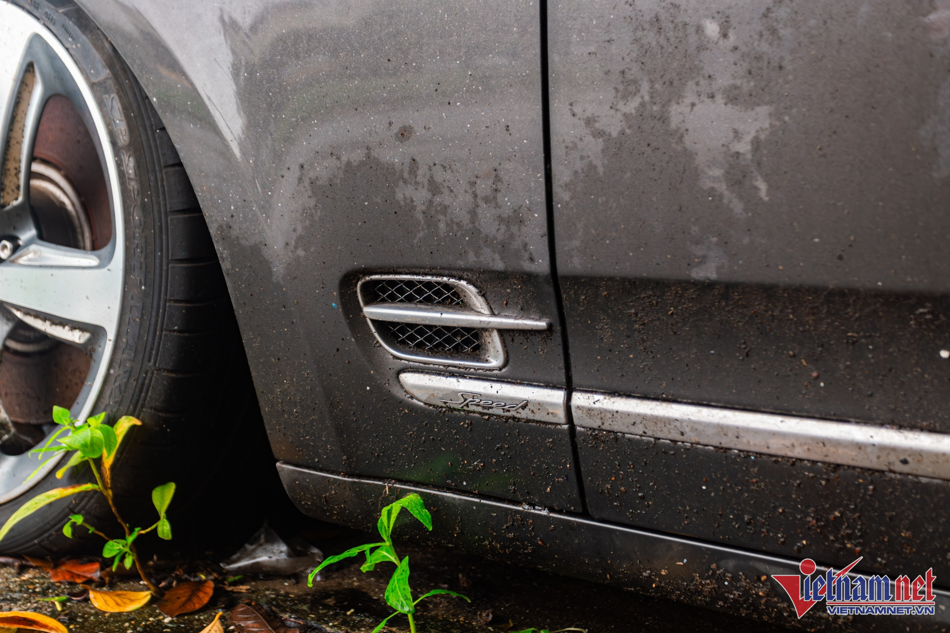 W-bentley mulsanne 3.JPG.jpg