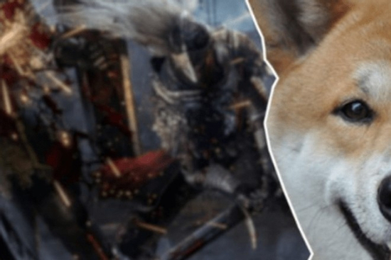 Đi vệ sinh lúc chơi game siêu khó, nữ streamer bất ngờ được 'cún cưng' cứu giá, gây sốc CĐM