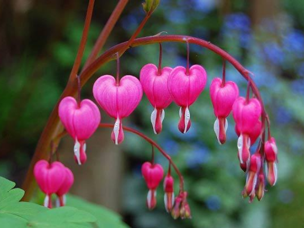 Bạc vàng đổ vào nhà 3 con giáp ào ào như thác đổ trong 15 ngày cuối tháng 11, tiền tài thăng hoa, cầu gì được đó, công thành danh toại, thu nhập tăng vù - Ảnh 2