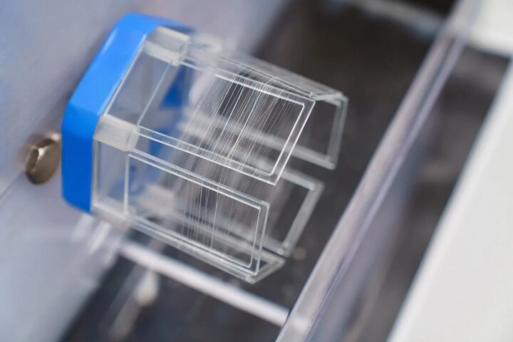 Sợi tơ nhện tổng hợp ra đời bằng quy trình kéo sợi mô phỏng sinh học của PrintyMed. (Nguồn: PrintyMed)