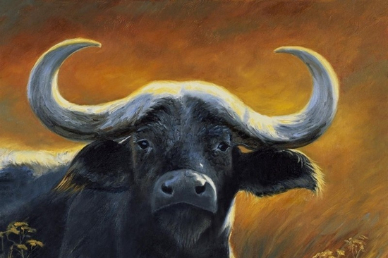 Trúng số độc đắc đúng ngày 12/11/2025, 3 con giáp tài vận hanh thông, sự nghiệp như cá chép hóa Rồng