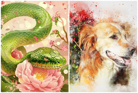 Tử vi 12 con giáp thứ Năm ngày 13/11/2025: Quý nhân soi đường, tài lộc ùa về