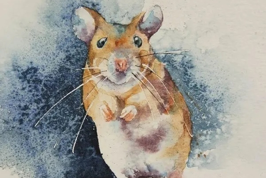 Đúng 6h sáng thứ Bảy 15/11/2025, 3 con giáp sự nghiệp ăn nên làm ra, tiền tài dư dả, của cải dư dôi