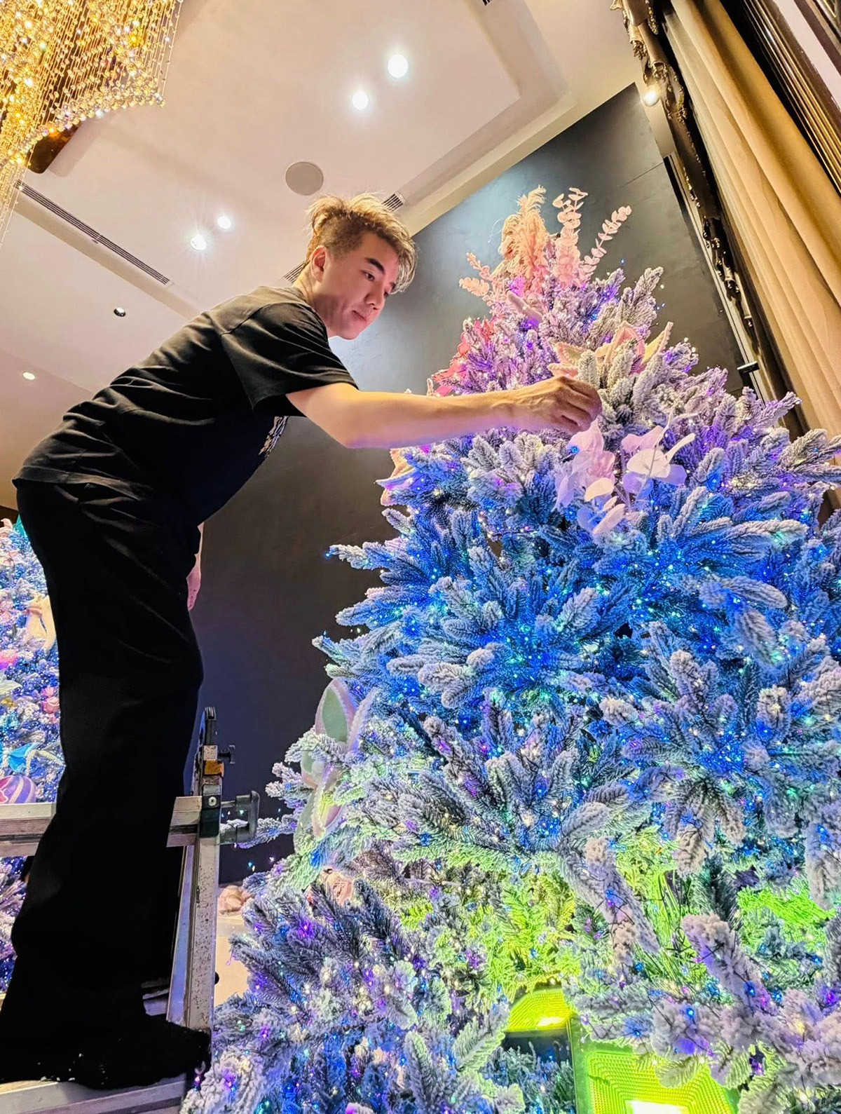 Đàm Vĩnh Hưng trang trí Noel cho biệt thự 125 tỷ đồng 1 chi tiết gây choáng