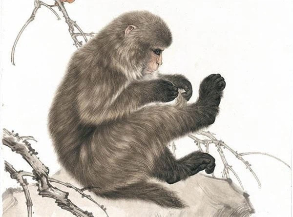 Tử vi 12 con giáp thứ Tư ngày 19112025 Công việc hanh thông tài lộc rực rỡ