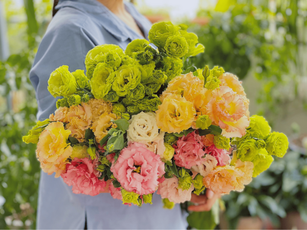 Bước qua tháng 10 âm lịch, 3 con giáp may mắn ngập lối, hút cạn Lộc Trời, muộn phiền tiêu tan, thay thời đổi vận, vạn sự hanh thông hơn người  - Ảnh 1