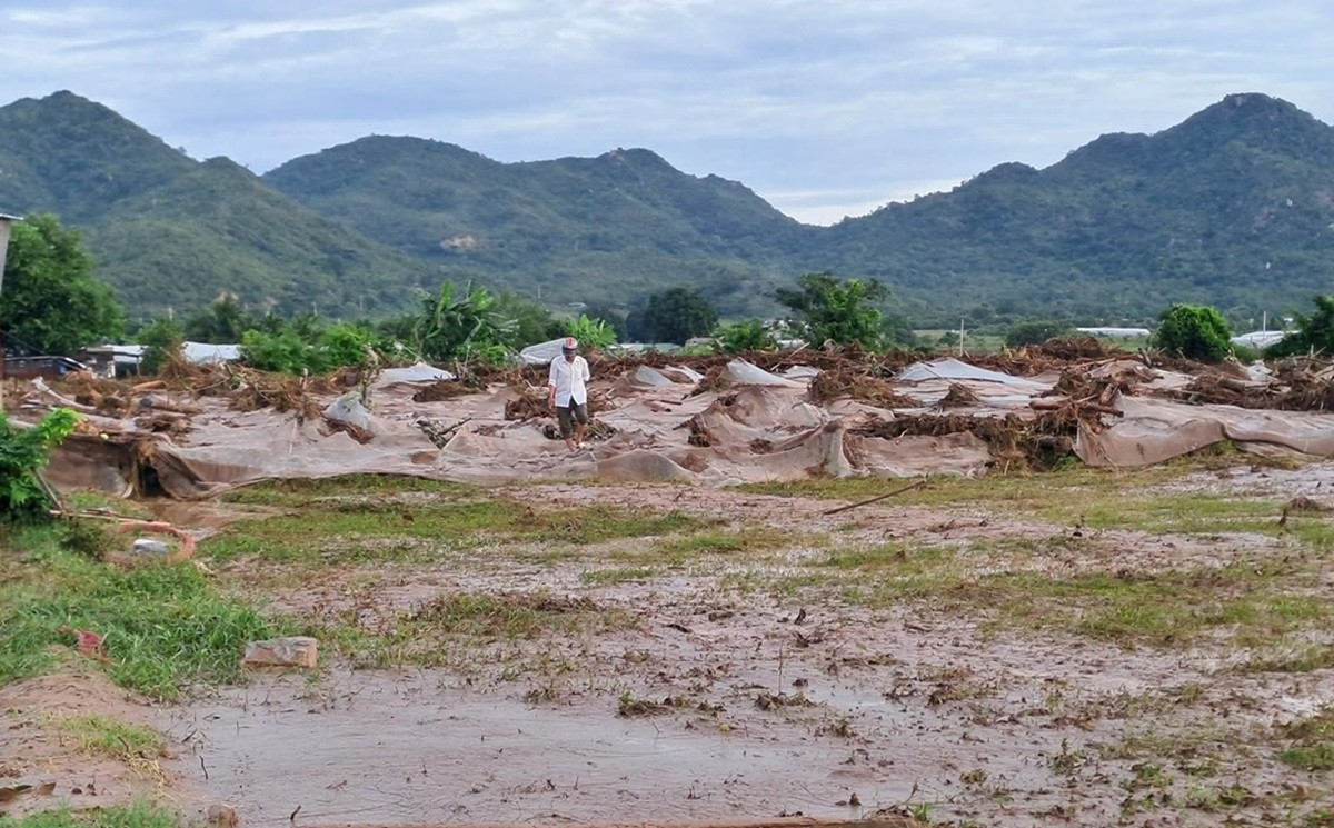 Hiện trường tan hoang sau vụ vỡ hồ chứa nước ở lâm đồng. minh thiện. thu thơm.jpg