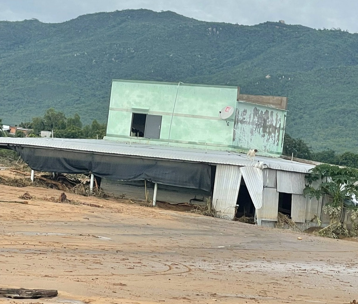Hiện trường tan hoang sau vụ vỡ hồ chứa nước ở lâm đồng 3. minh thiện.jpg