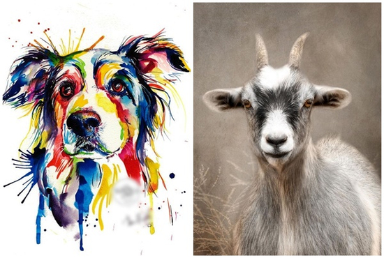 Tử vi 3 con giáp may mắn nhất thứ Bảy (22/11): Định sẵn số giàu sang, hút tài lộc cực mạnh