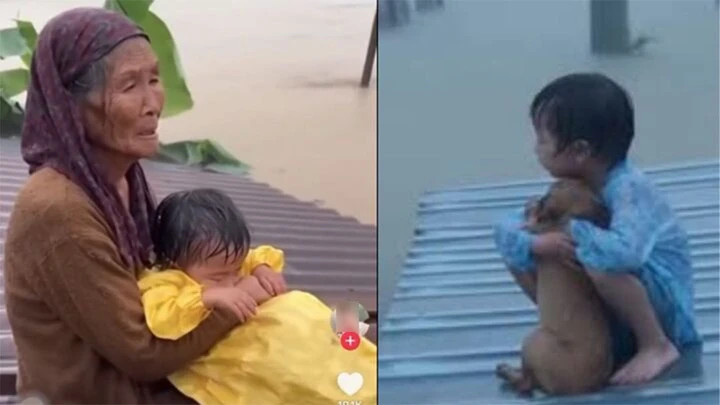 Những hình ảnh, clip giả mạo được tạo bằng AI thu hút hàng trăm nghìn lượt tương tác trên TikTok. (Ảnh chụp màn hình)