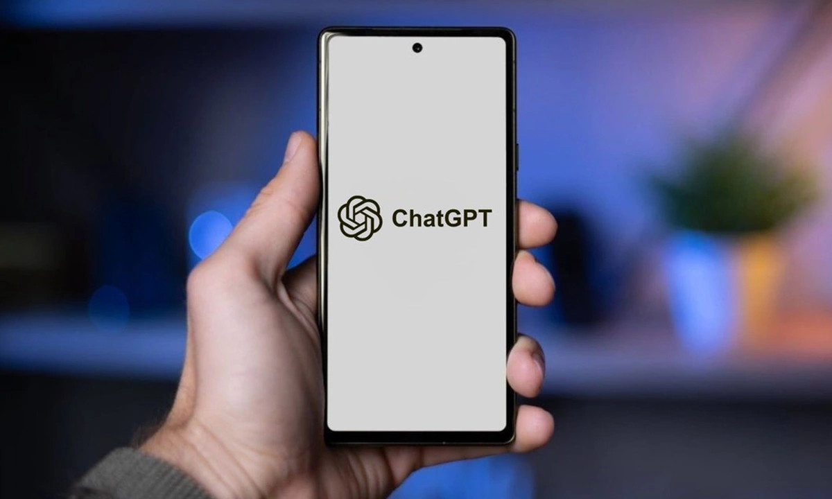 4843 8581 1763694351