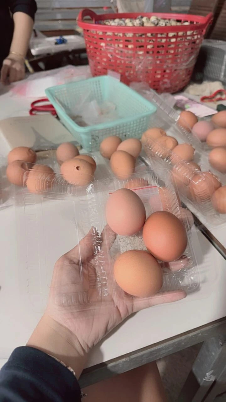 Xúc động những 'chiếc lá rách ít đùm lá rách nhiều' khi miền Trung lũ lụt - 10