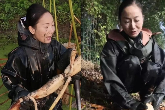 Nữ doanh nhân vỡ nợ hơn 18 tỷ đồng, lặn lội đào củ sen làm lại từ đầu