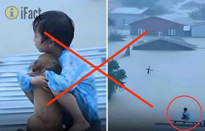 Tung tin giả câu view trên nỗi đau đồng bào vùng lũ là tội ác.