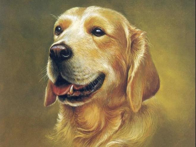 Tử vi 12 con giáp thứ Sáu ngày 28112025