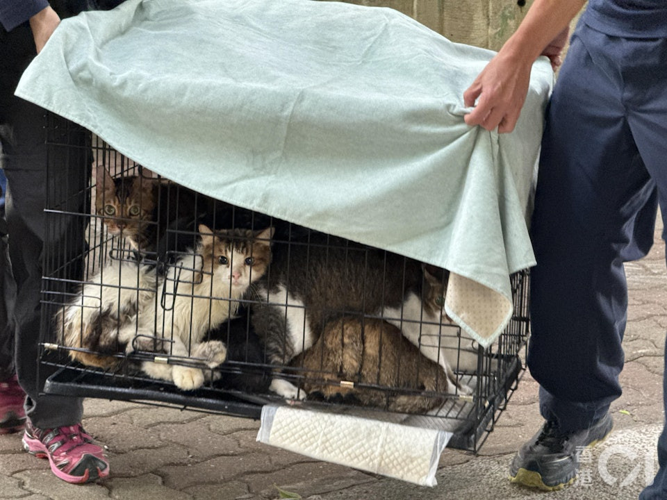 Câu chuyện ấm lòng giữa tang thương trong vụ cháy chung cư Hong Kong (Trung Quốc): Lính cứu hỏa có phải có