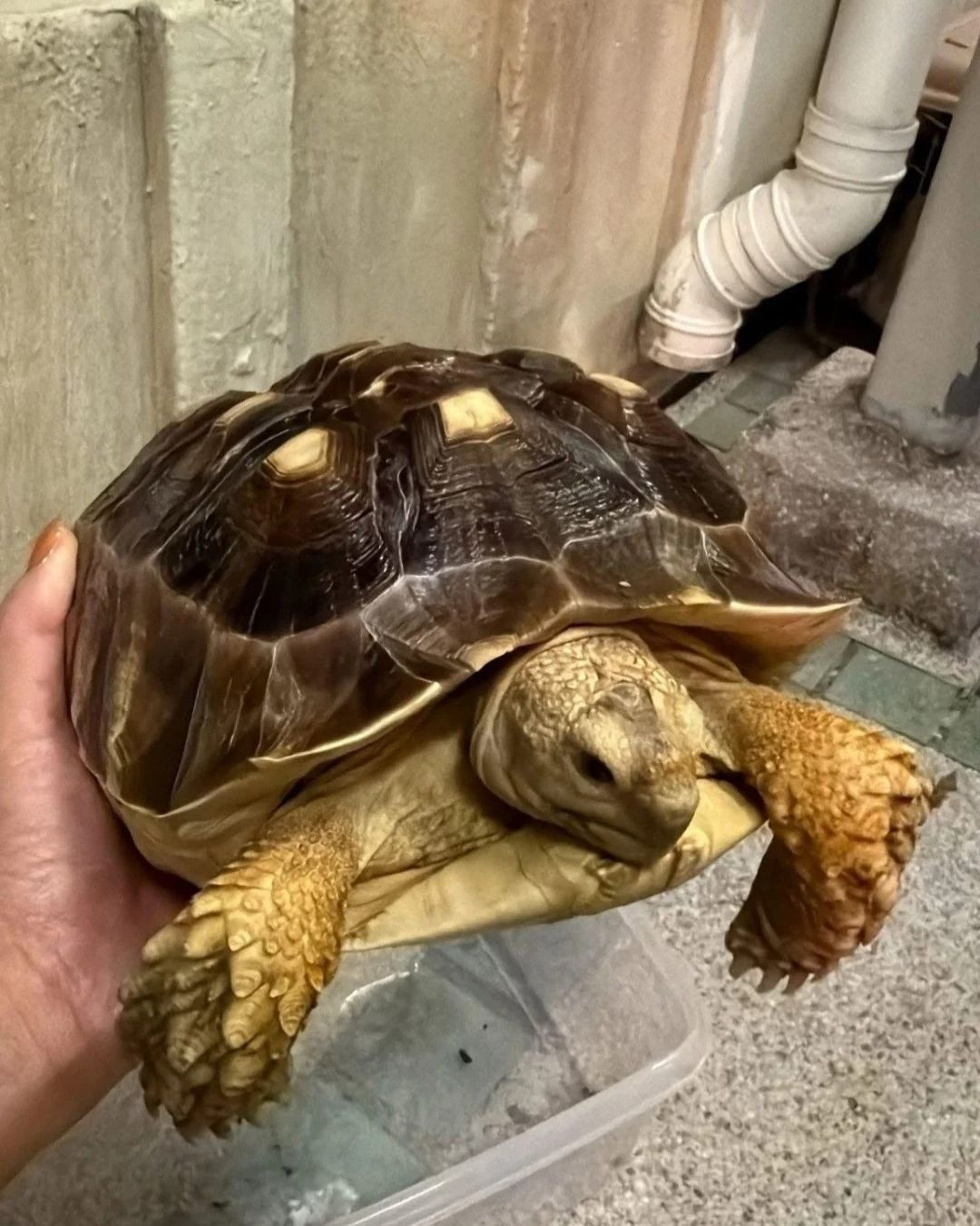 Câu chuyện ấm lòng giữa tang thương trong vụ cháy chung cư Hong Kong (Trung Quốc): Lính cứu hỏa có phải có