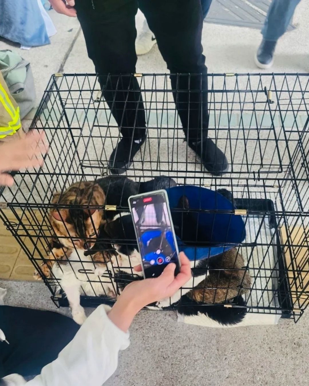 Câu chuyện ấm lòng giữa tang thương trong vụ cháy chung cư Hong Kong (Trung Quốc): Lính cứu hỏa có phải có