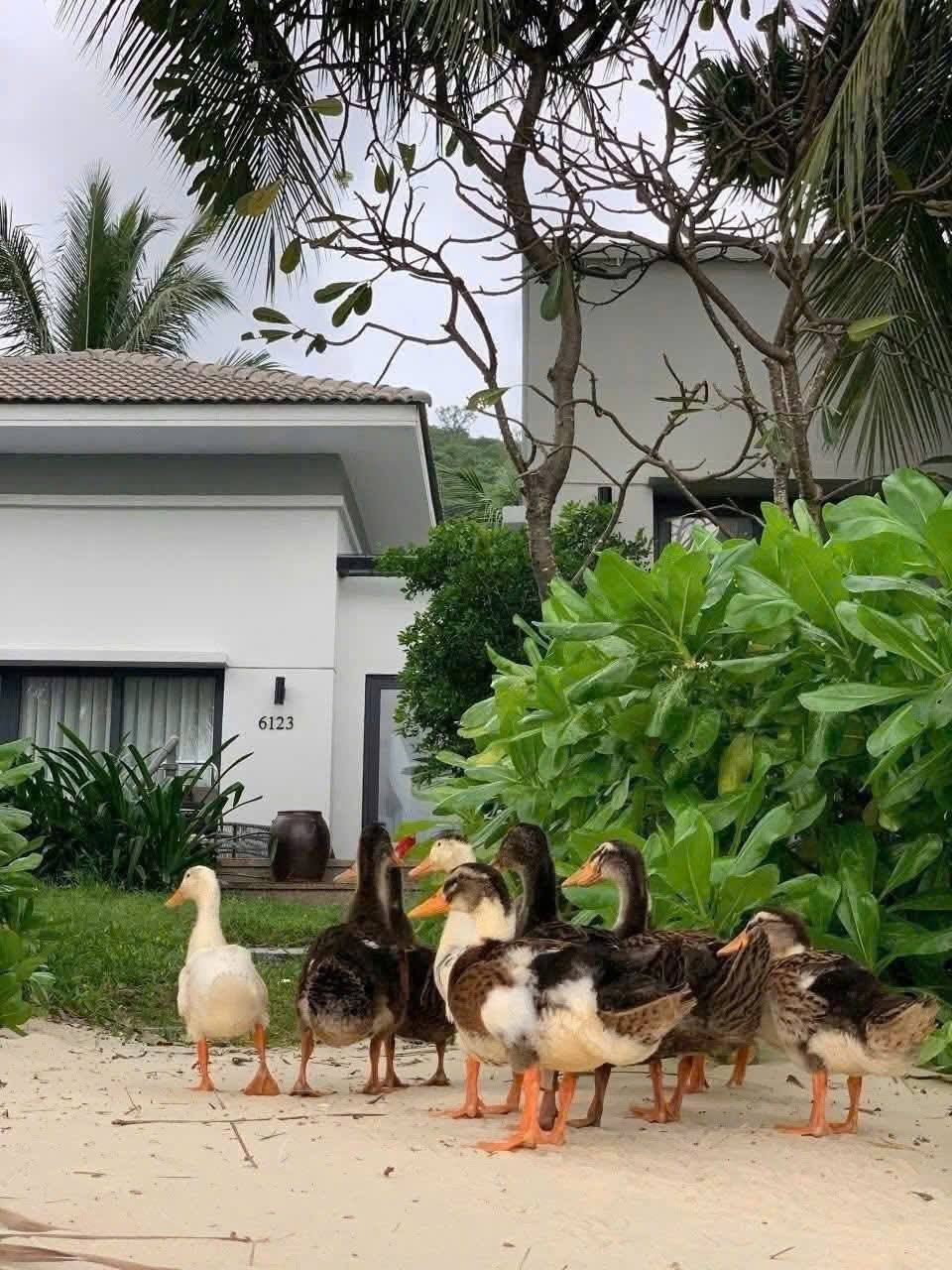 5870064951221006133531359765043374361999765769n