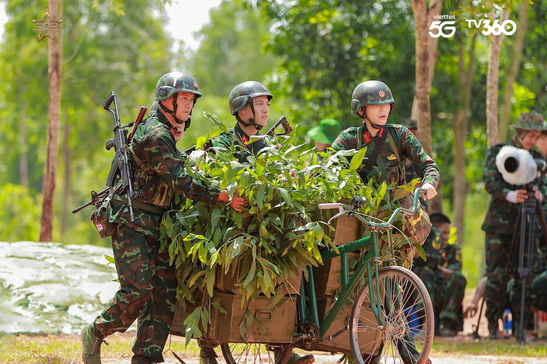 sao nhap ngu (3).jpg