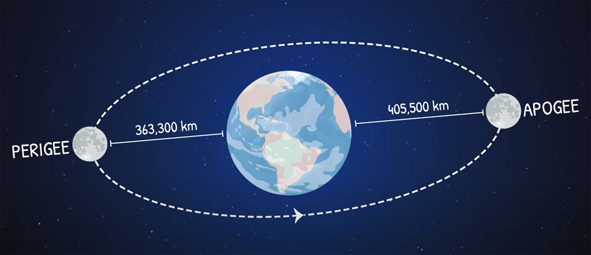 Sieu trang Viet Nam 4.png