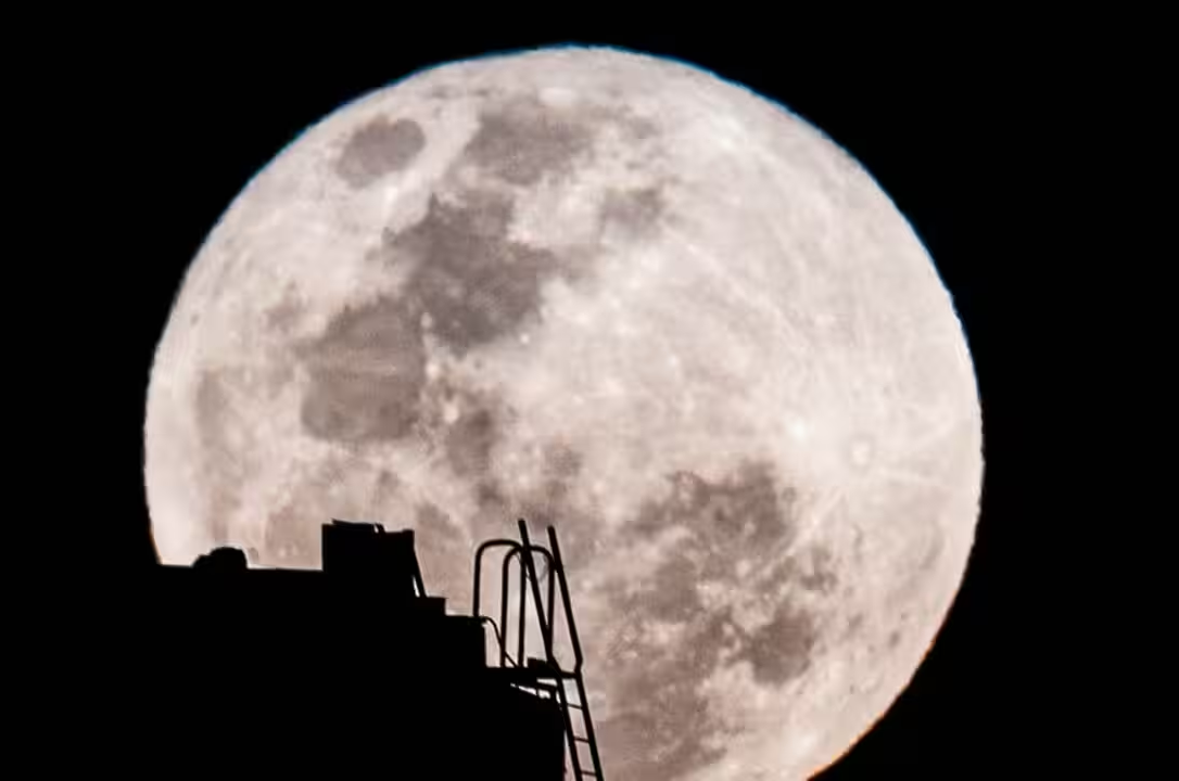 Sieu trang Viet Nam 8.png