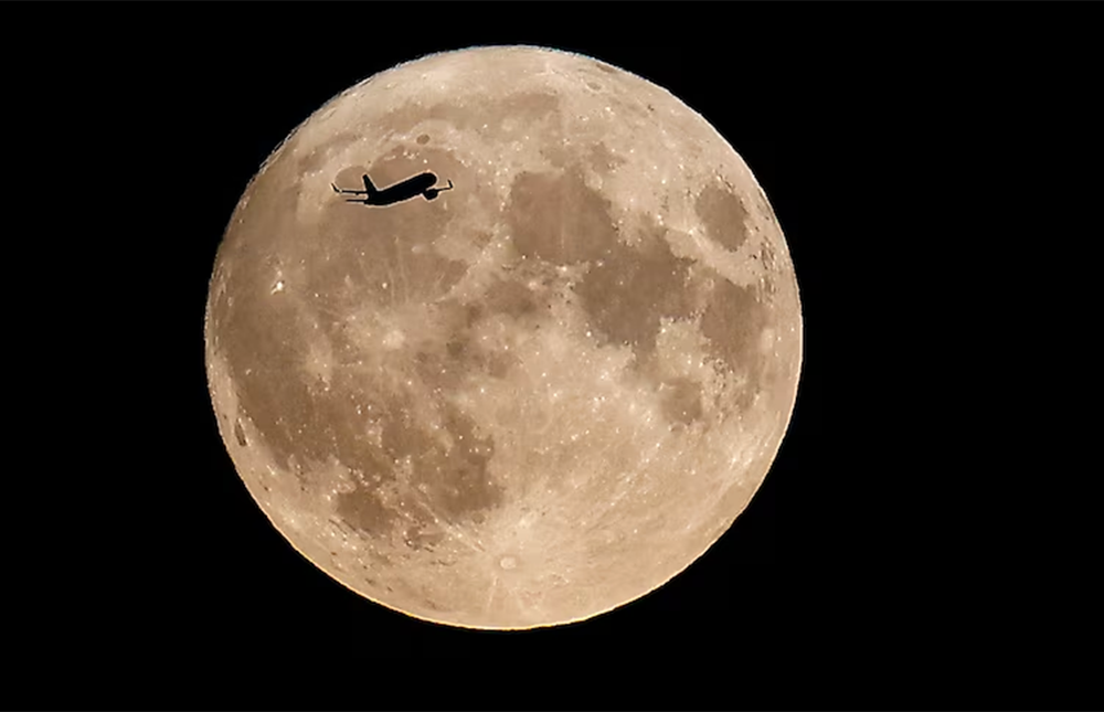 Sieu trang Viet Nam 3.png