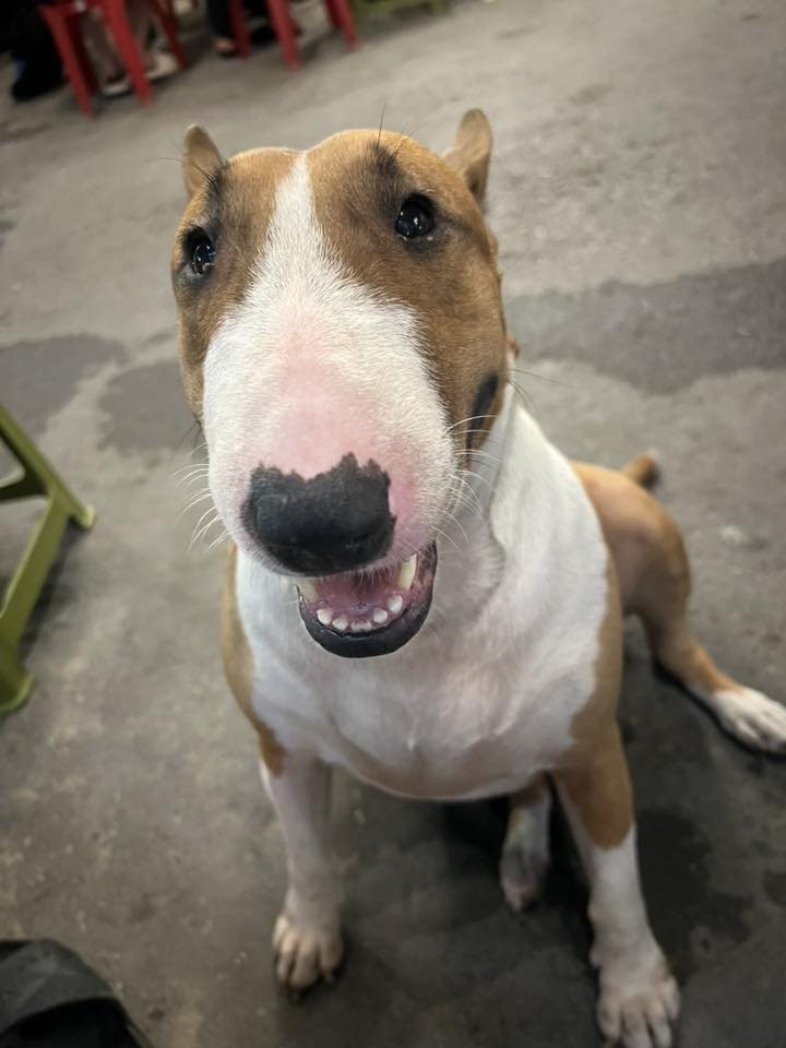 57602116414529370295198277861339971888284647n