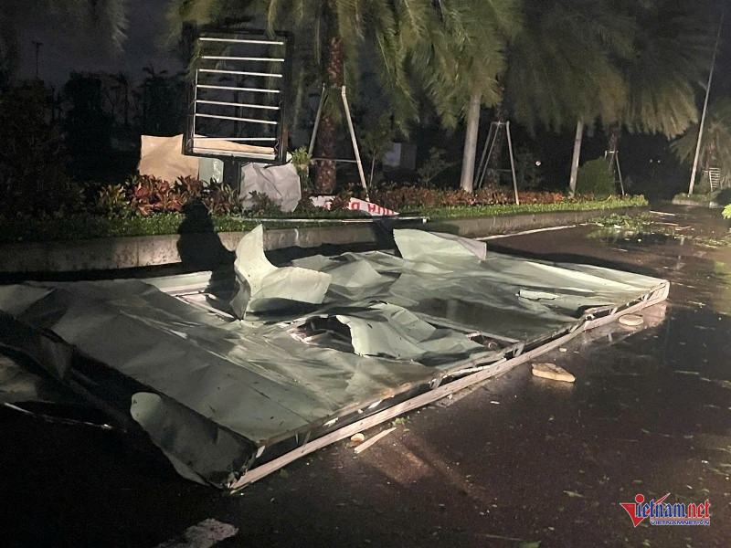 W-Tan hoang sau bão 8.jpg