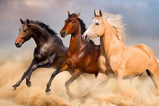 Trúng số độc đắc đúng ngày 10/11/2025, 3 con giáp tiền tài 'thu về như nước', tình duyên viên mãn