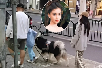 'Tóm sống' Angelababy và bạn trai tin đồn đưa con đi chơi