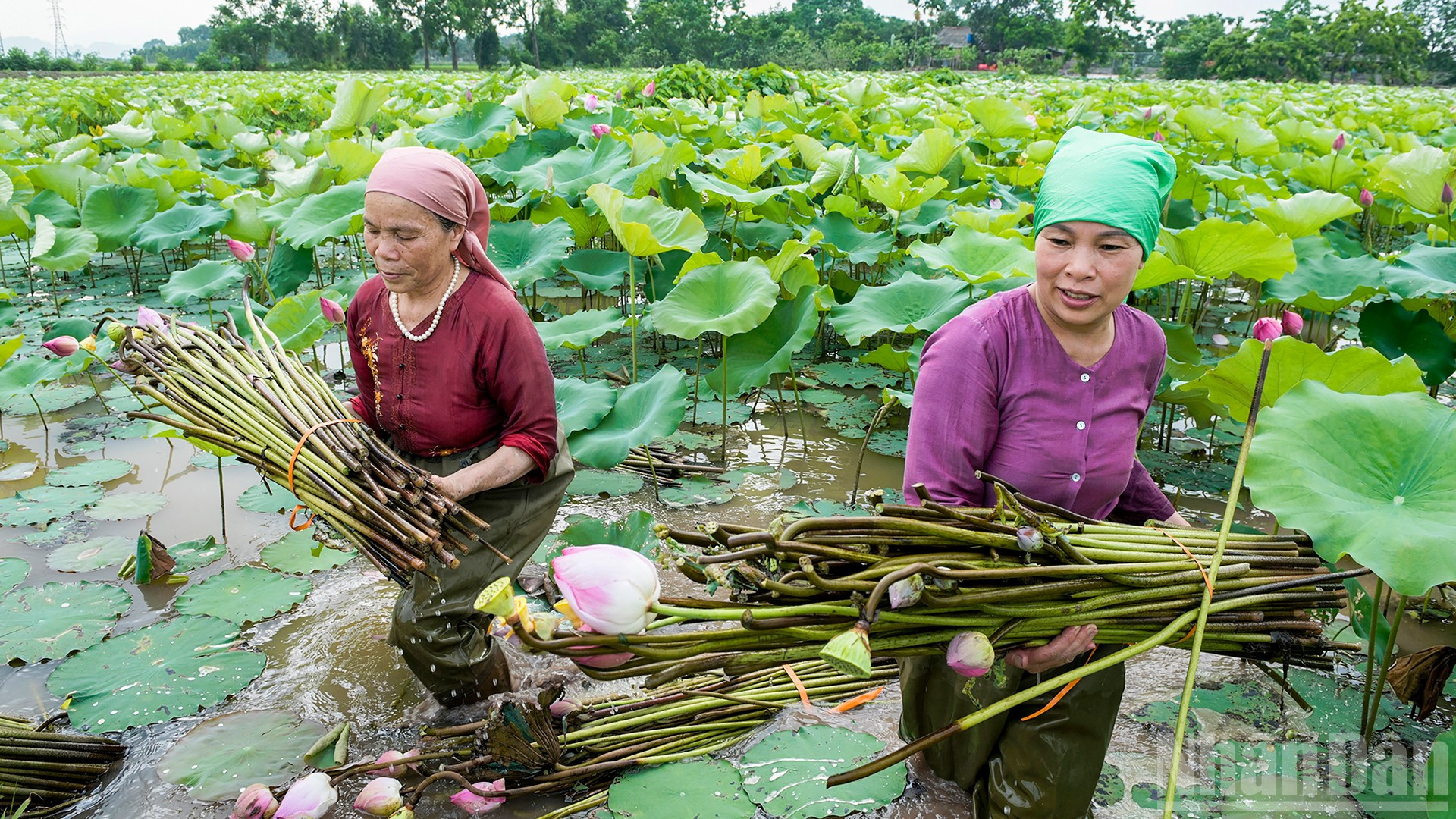 Hai nghệ nhân hàng đầu thiết kế áo dài cho 'công chúa hàng hiệu' là ai? - Ảnh 9.