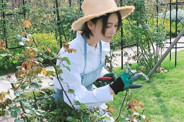 Mỹ nhân thị phi nhất showbiz ngày càng xinh đẹp sau khi kết hôn