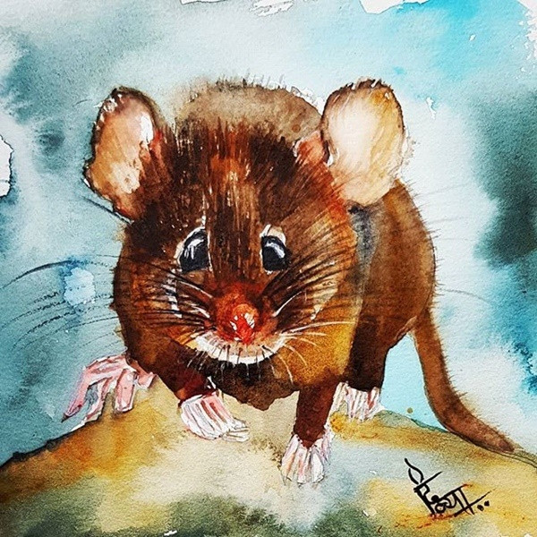 Tử vi 12 con giáp thứ Năm ngày 11122025