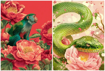 Tử vi 3 con giáp may mắn nhất thứ Sáu (12/12): Tiền đổ về túi liên tục, đổi vận bất ngờ