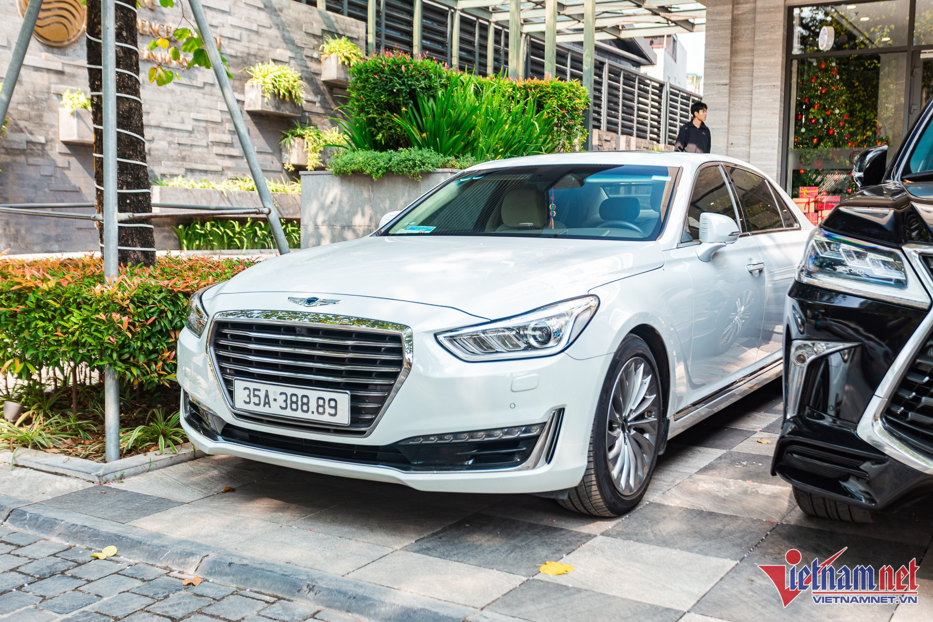 W-dam hoi 13.JPG.jpg