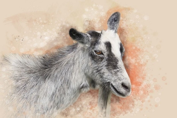 Kể từ thứ Ba 16/12/2025, 3 con giáp ngồi mát ăn bát vàng, lương thưởng chảy ào ào về túi, giàu sang khó ai sánh bằng