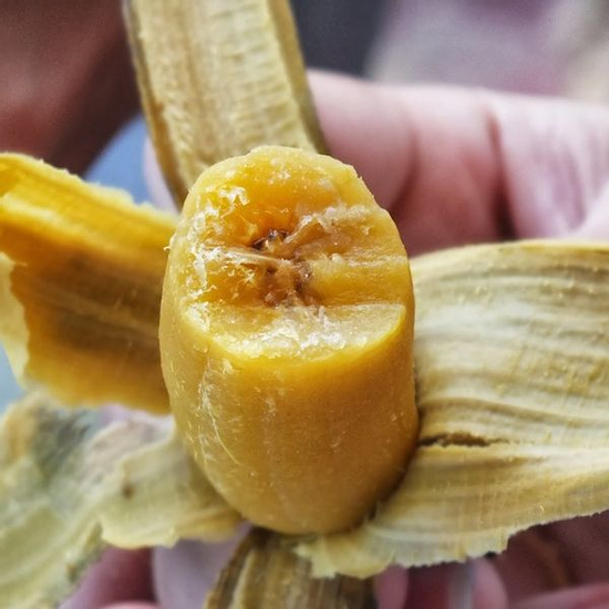 3 loại quả đem nấu chín thành 'thần dược' cho nữ giới trong mùa đông: Dưỡng da, đẹp tóc, giảm mỡ, phòng đủ thứ bệnh