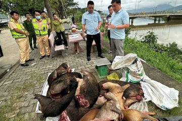 Cảnh sát phát hiện xe khách chở thịt đông lạnh nghi động vật quý hiếm