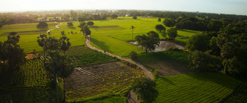 Mỹ Tâm mang đến hy vọng dẫn dắt và cho Mai Tài Phến một cơ hội làm lại cuộc đời