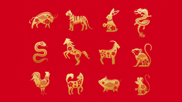 Con số may mắn hôm nay ngày 20/12 của 12 con giáp