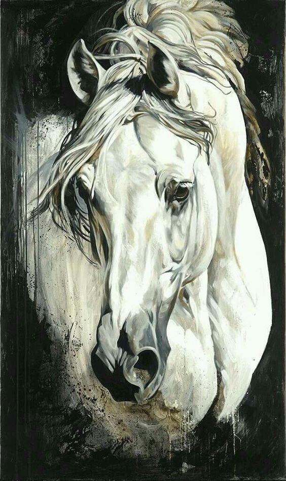 Tử vi 12 con giáp Chủ Nhật ngày 21122025