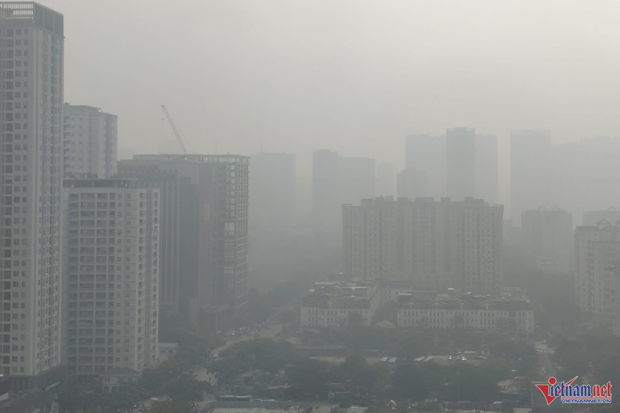 W-591706829_1602997347351125_6985739210969862627_n (2).jpg